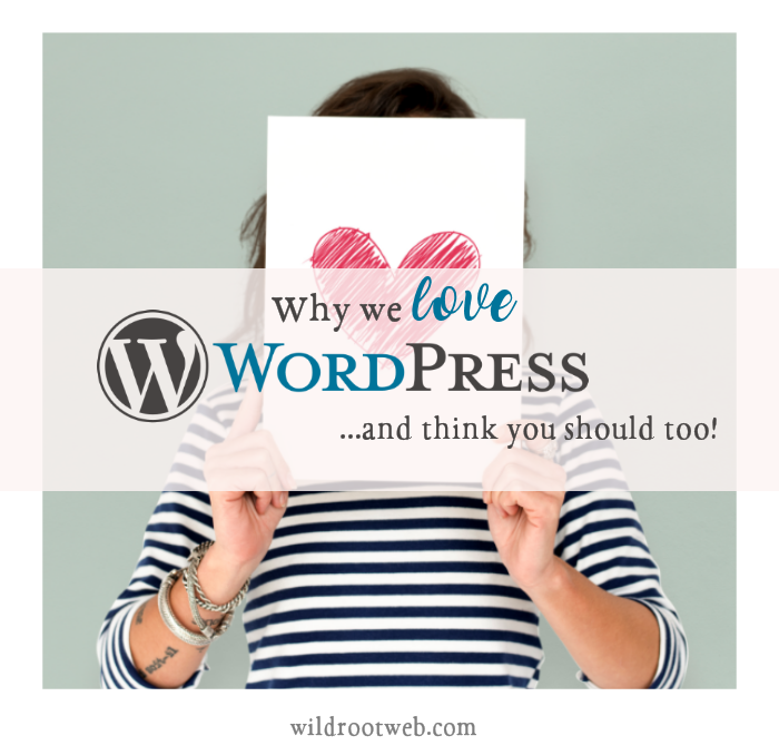 Why we Love WordPress