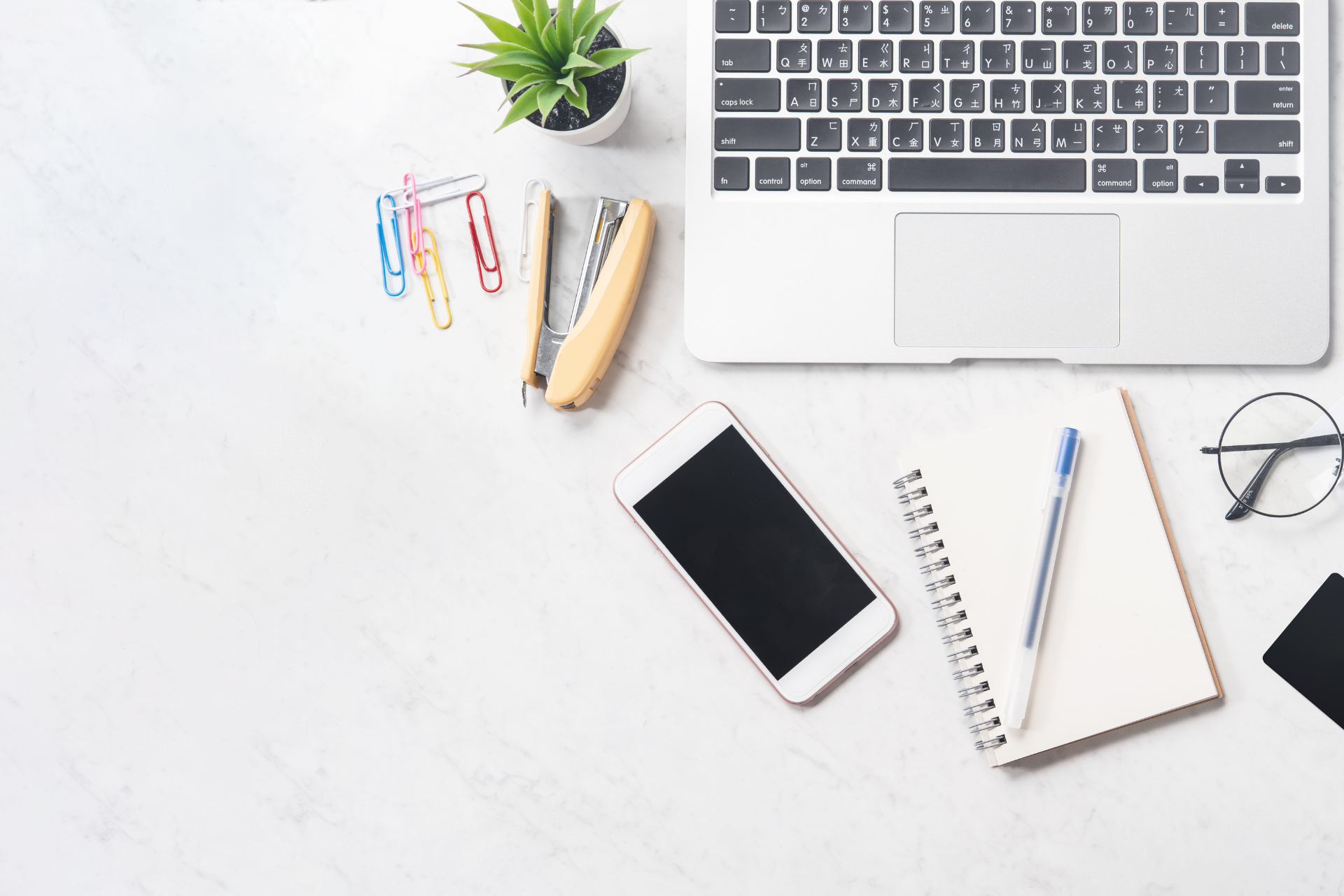 WordPress Website Design and Development